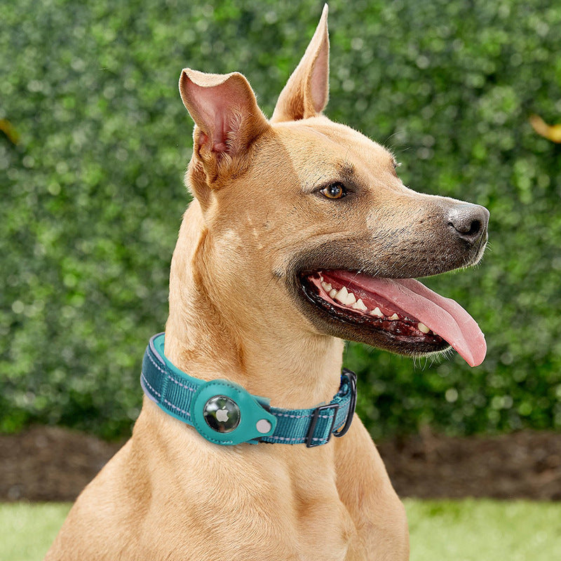Pet Collars & Leash - TailTidePet