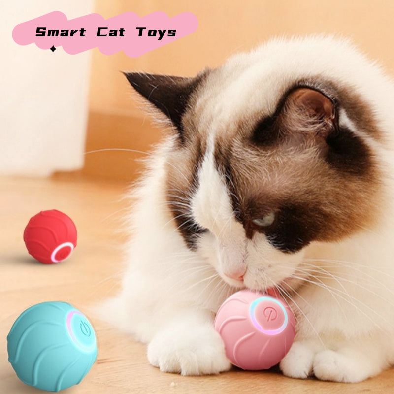 Pet Toys - TailTidePet