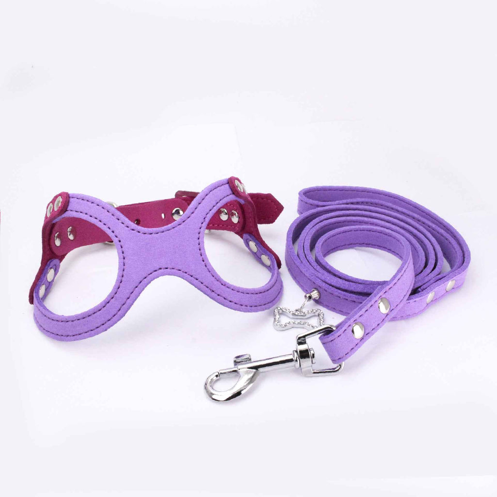 Spectacle Shaped Pet Chest Strap