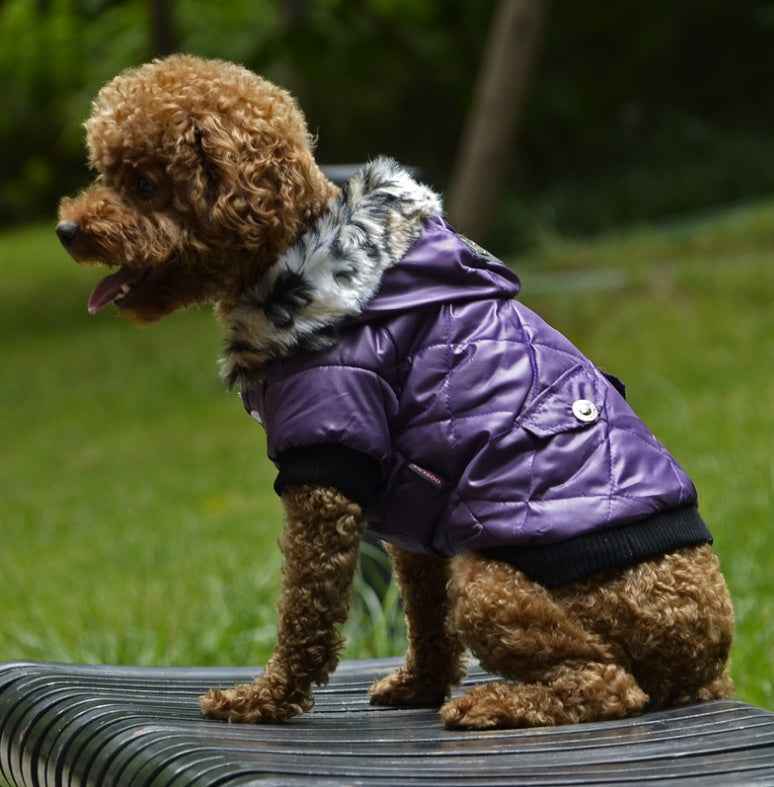 Cross-border clothes dog autumn and winter fur collar