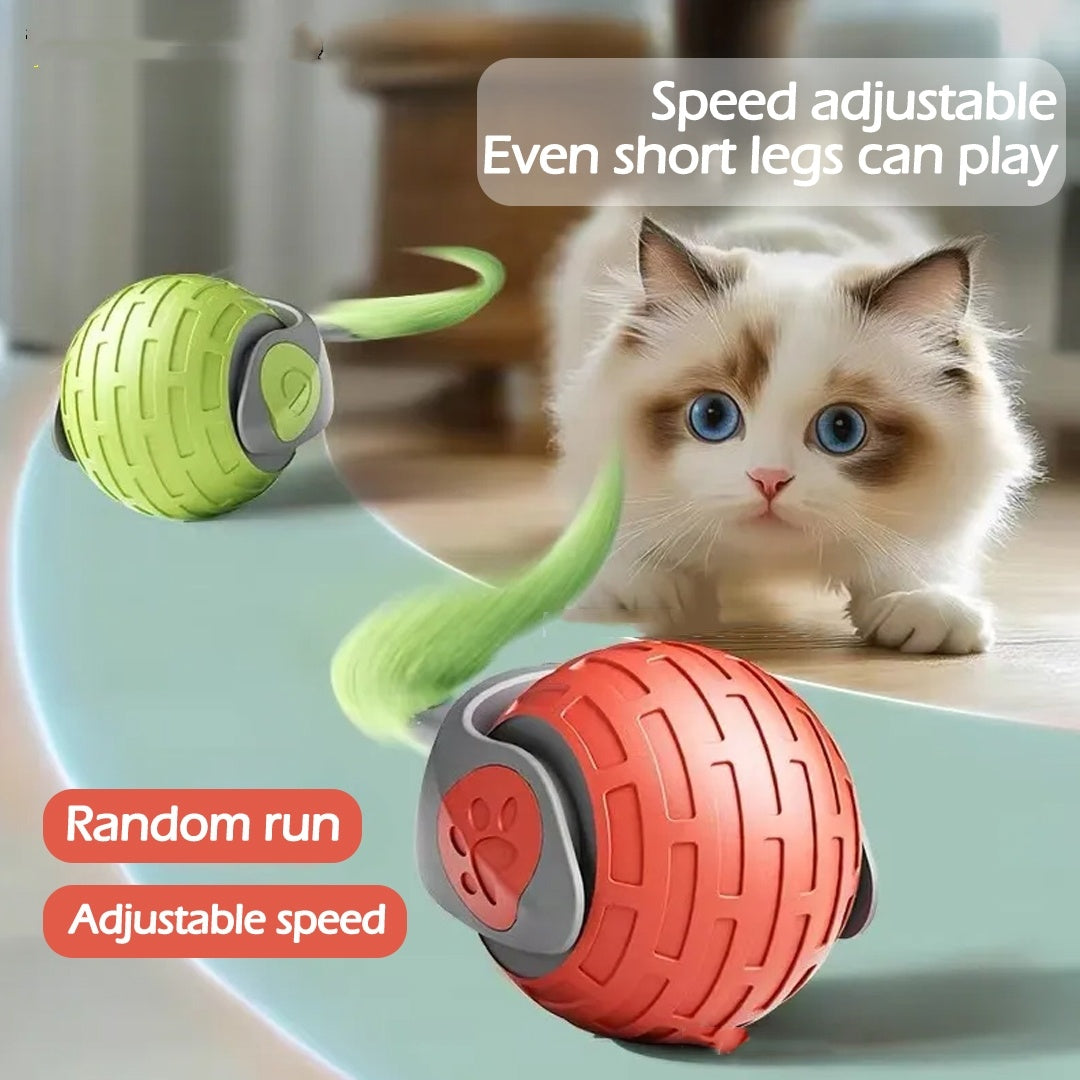 New Electric Cat Toys Ball