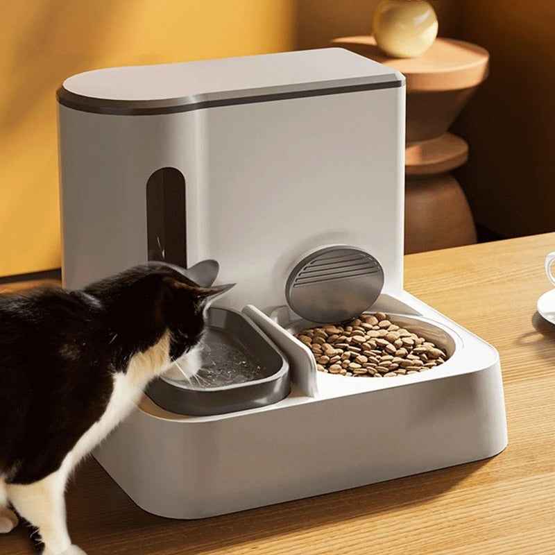 Cat Automatic  Feeder Water Dispenser