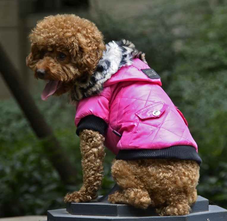 Cross-border clothes dog autumn and winter fur collar