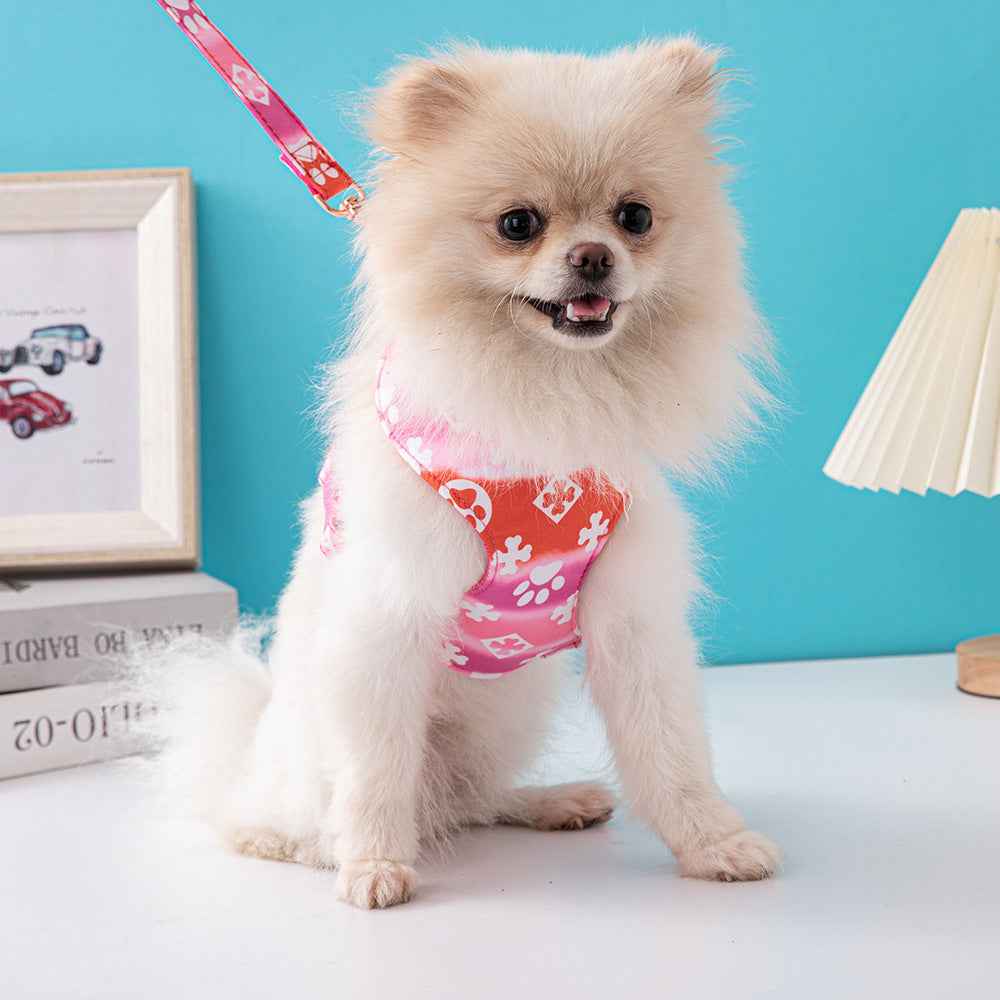 Dog Harness Leash