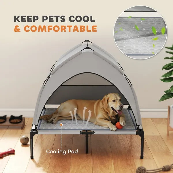 Elevated Dog Bed With Removable Canopy - TailTidePet