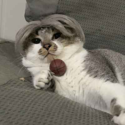 Pet Cat Wigs