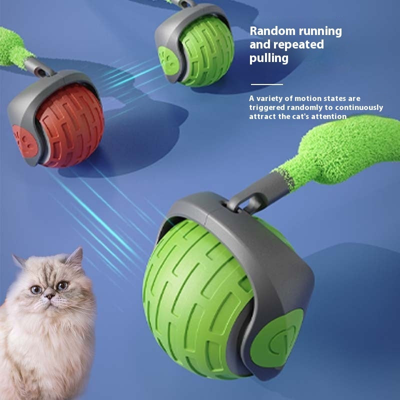 New Electric Cat Toys Ball