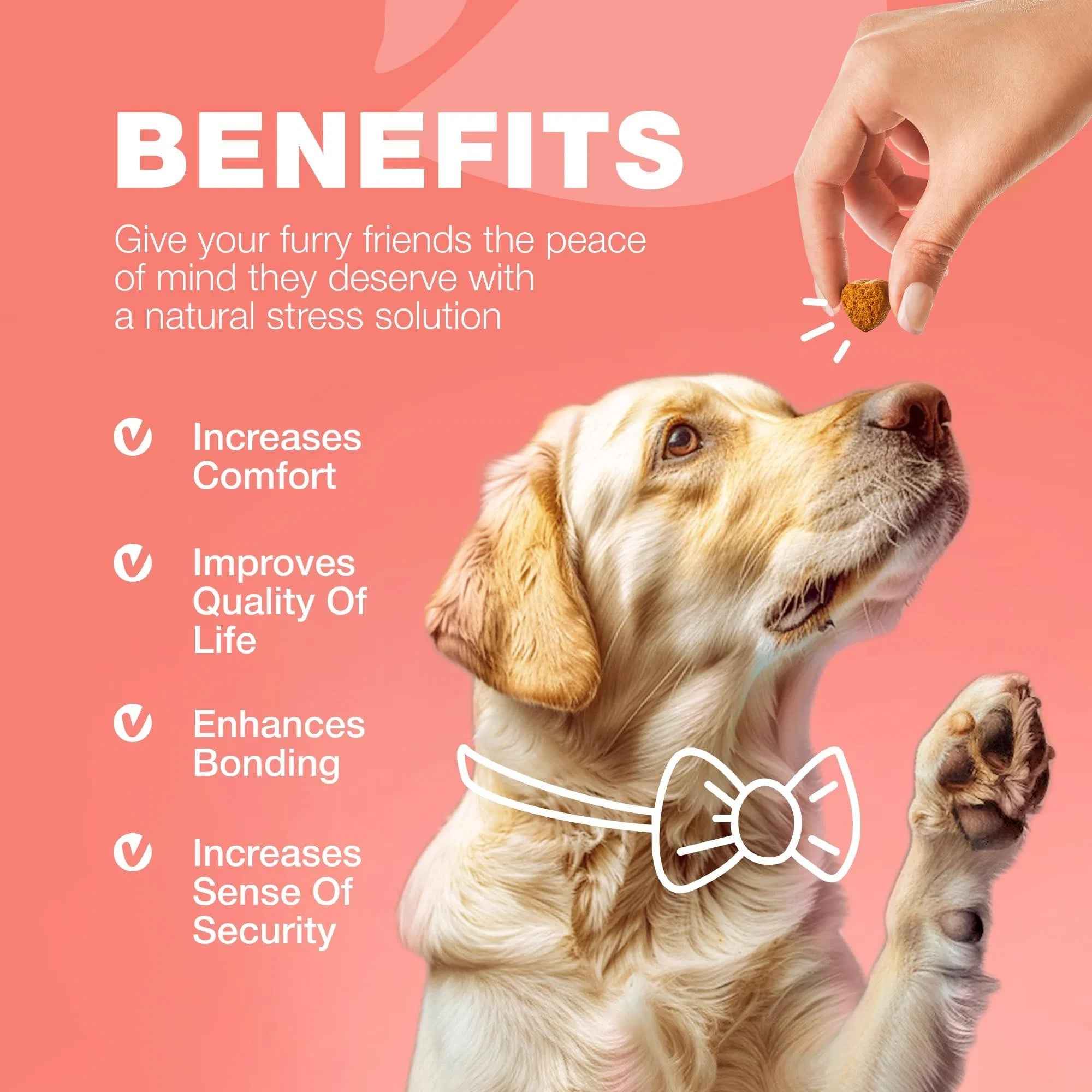 Dog Flea And Tick Treatment Chews
