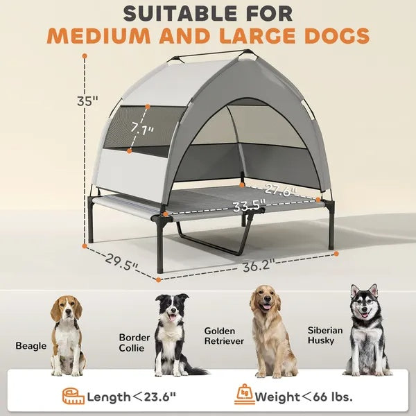 Elevated Dog Bed With Removable Canopy - TailTidePet