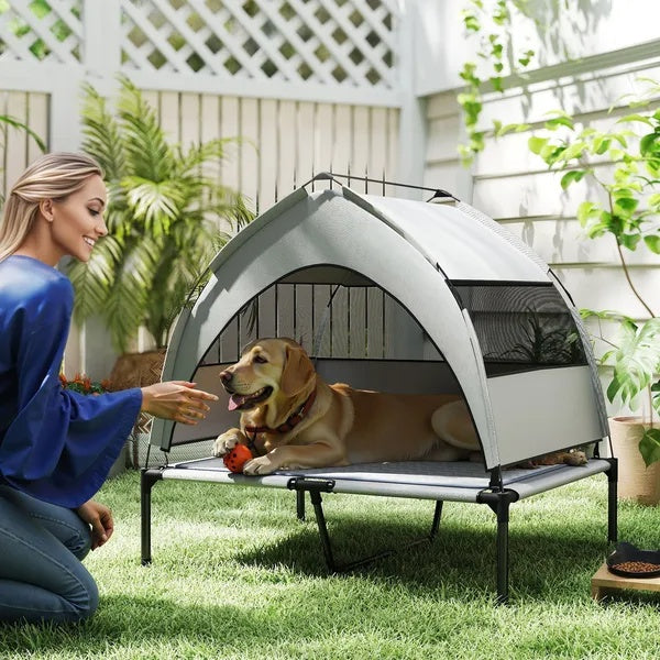 Elevated Dog Bed With Removable Canopy - TailTidePet